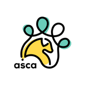 Animal Shelter Crisis Aid